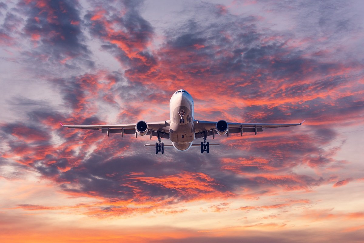 Domestic Flights